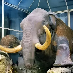 Иконка для:Зоологический музей