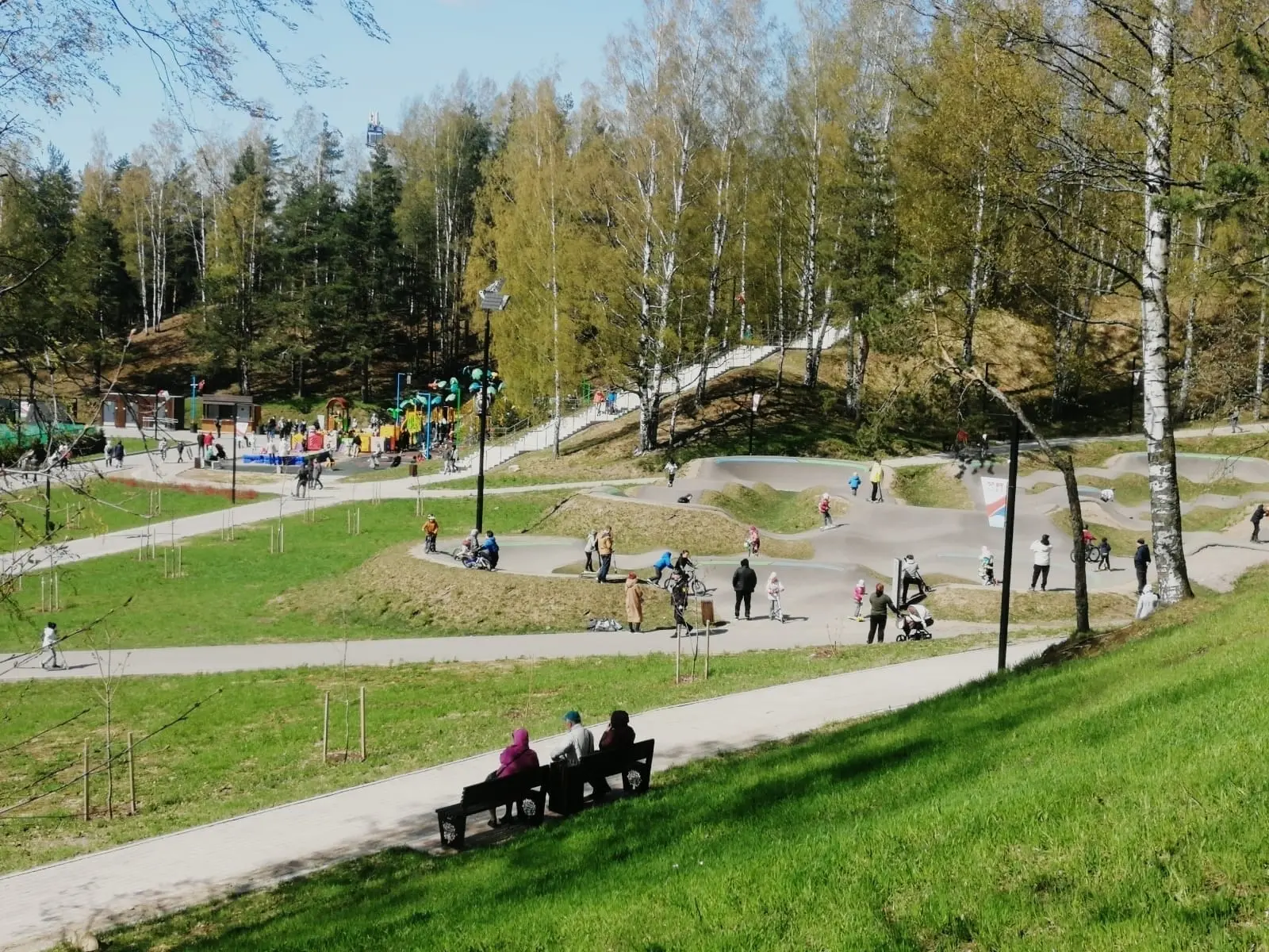 image 4
