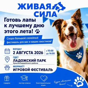 Фестиваль «Живая сила» для владельцев собак Ладожский парк