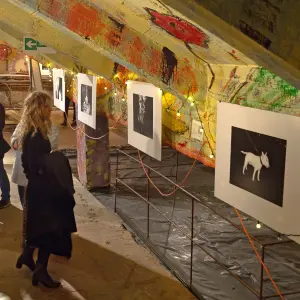 Фотовыставка «‎Экспозиция № 1» в катакомбах Петрикирхе Собор святых Петра и Павла (Петрикирхе)