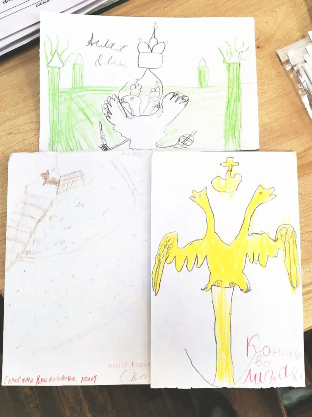 image 12