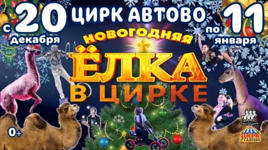Цирковое шоу "Новогодняя ёлка в цирке" "Цирк в Автово" (Автовская ул.,д.1)