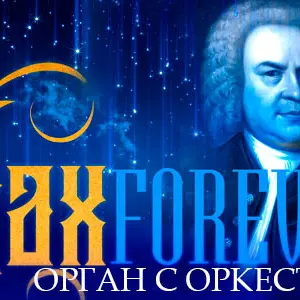 Органный концерт «Бах forever» Собор святых Петра и Павла (Петрикирхе)