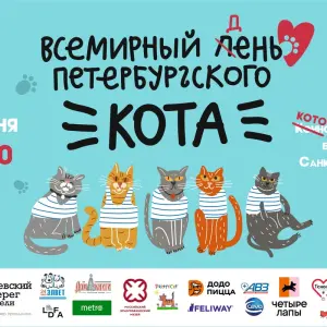 Взять кошку из приюта в Спб бесплатно в добрые руки 🐈 FriendForPet