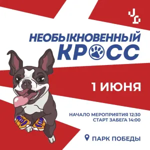 Забег с собаками «Необыкновенный кросс» Московский Парк Победы
